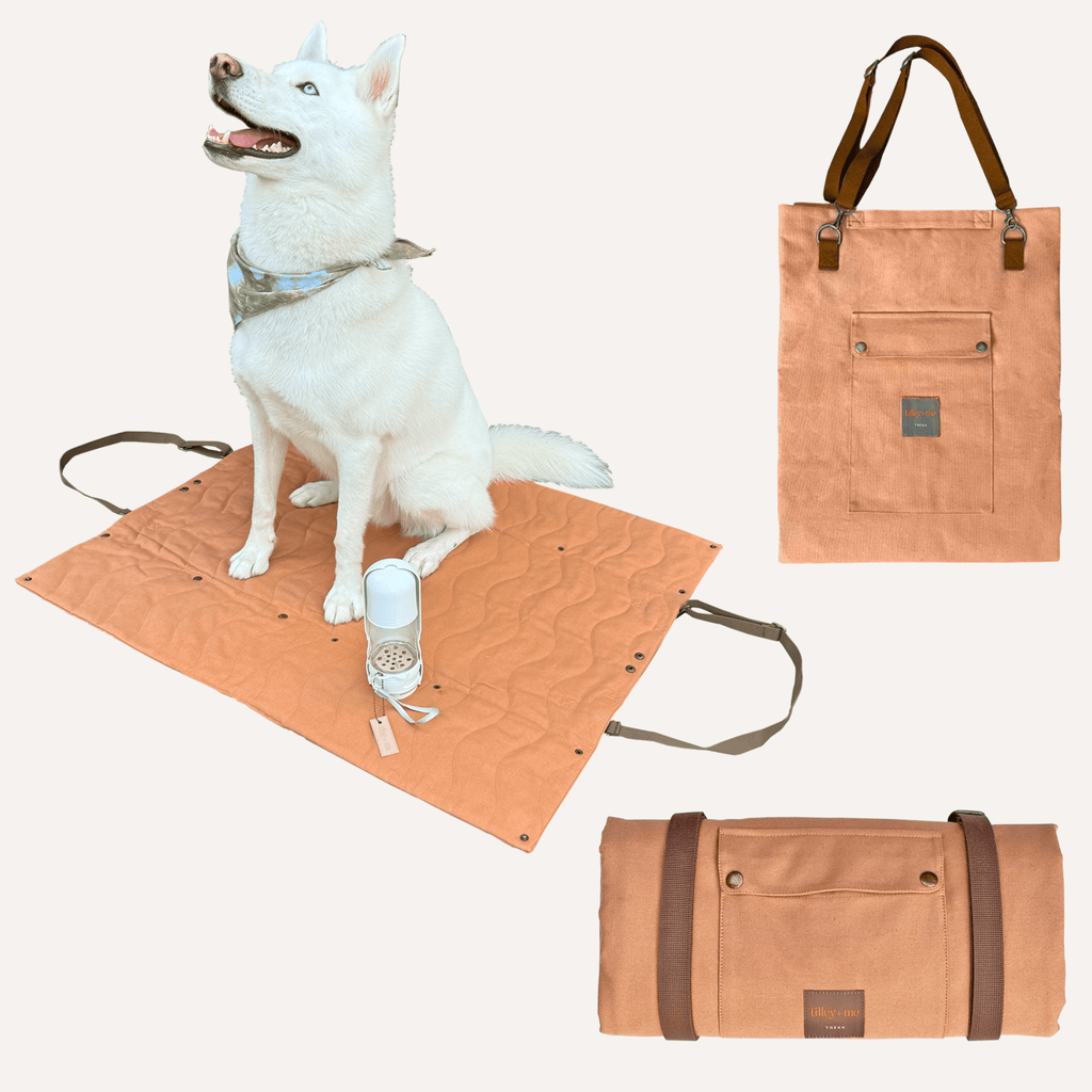 Trekk Convertible Travel Mat - Portable Canvas | Camping, Concerts, Picnics